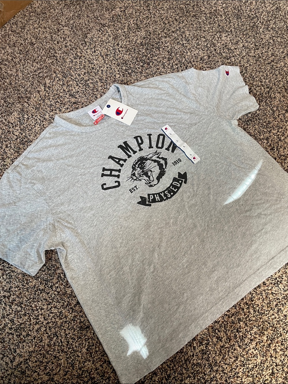 Champion Ribbed Boxy Gray Short-Sleeve Graphic Tee Gender Neutral Var Sizes NWT